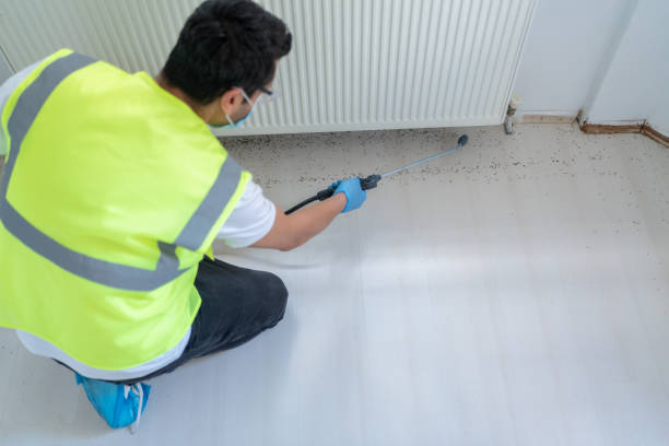 Best Pest Prevention Services  in South Apopka, FL